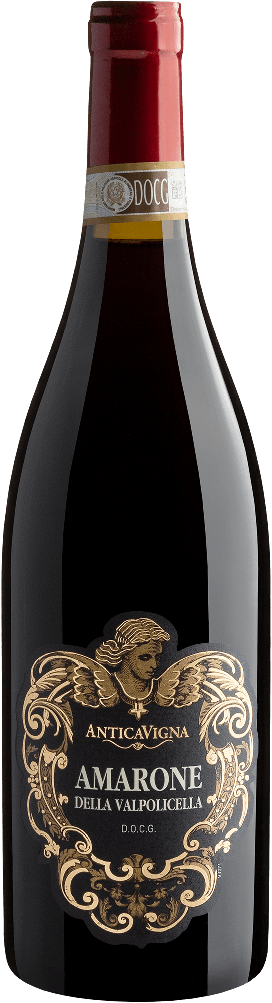 Antica Vigna Amarone della Valpolicella DOCG 2019 | Evino