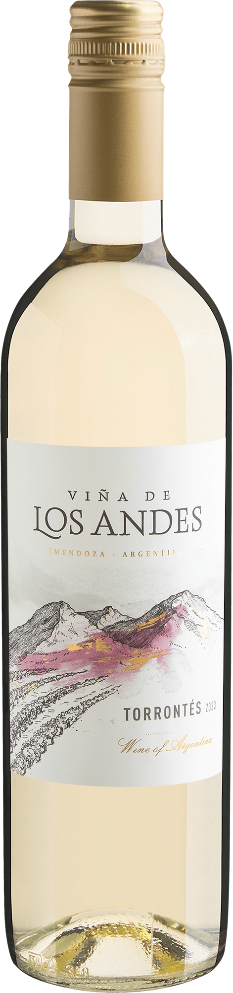 Viña de Los Andes Torrontés 2023