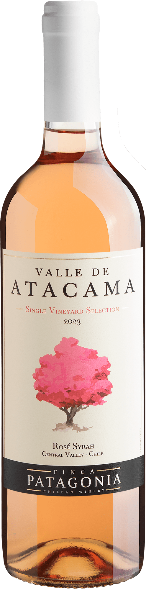 Valle de Atacama Single Vineyard Selection Rosé Syrah Central Valley D.O.
