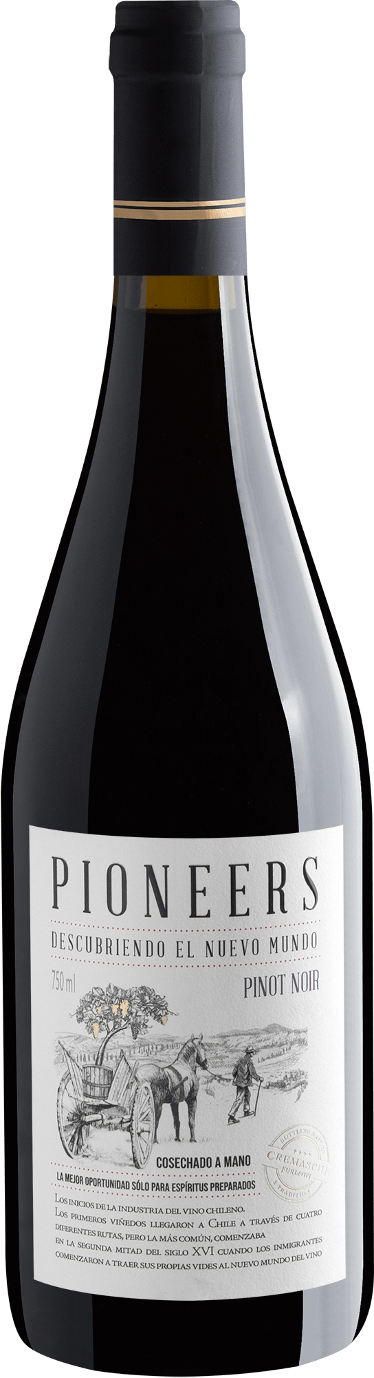Pioneers Pinot Noir
