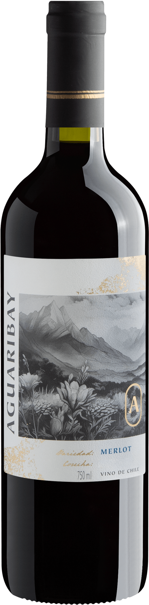 Aguaribay Merlot