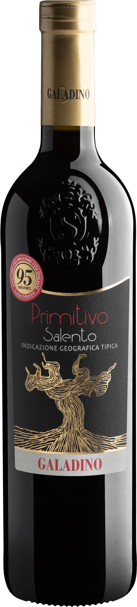 Galadino Primitivo Salento IGT 2024