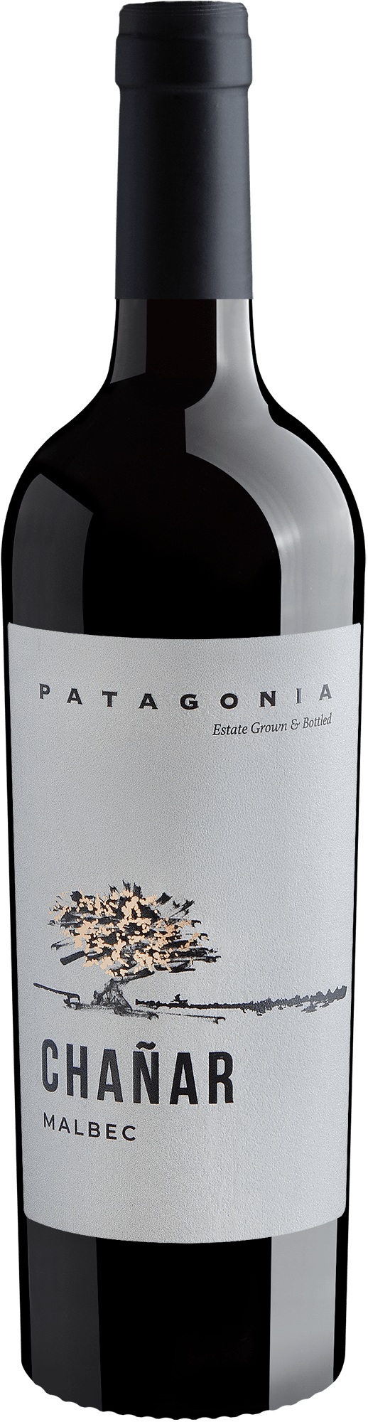 Chañar Malbec Patagonia 2025