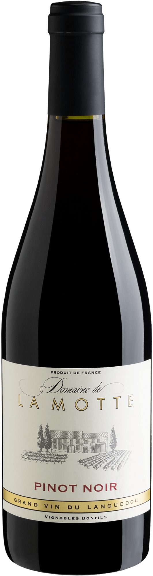 Domaine de La Motte Pinot Noir 2016