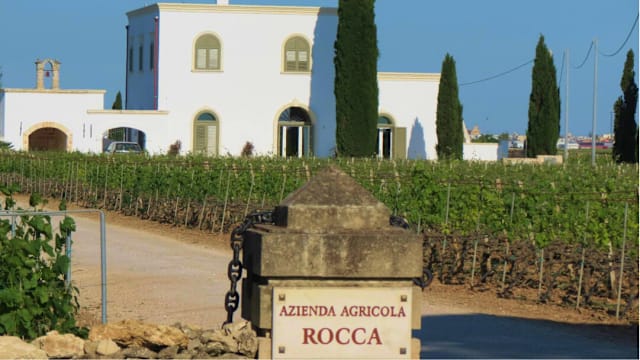 Vinícola Angelo Rocca e Figli Srl