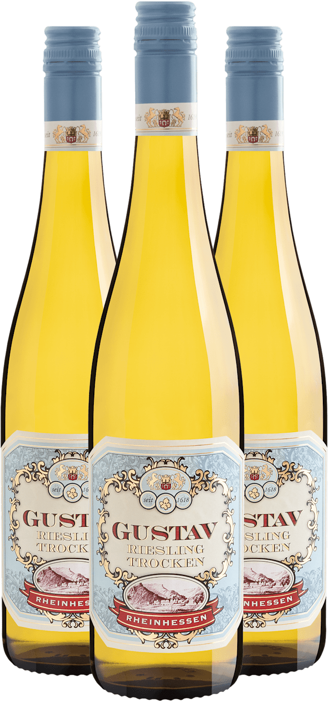 Kit 3 Gustav Riesling Trocken Rheinhessen