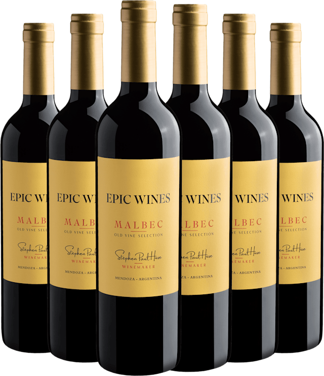 Kit 6 Epic Wines Malbec Old Vine Selection