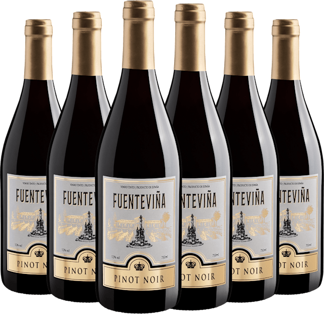 Kit 6 Fuenteviña Pinot Noir