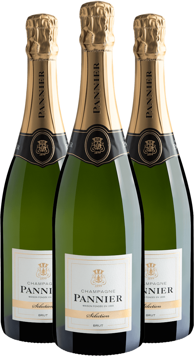 Kit 3 Champagne Pannier Sélection Brut 