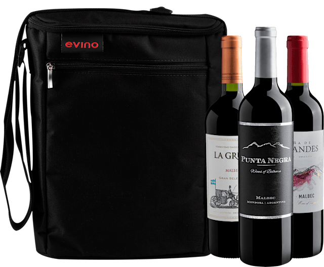 Kit 3 Malbecs + Bolsa Exclusiva