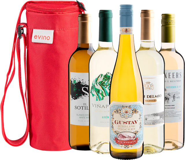 Kit 5 Vinhos Brancos + Bolsa Exclusiva