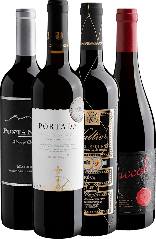 Kit 4 Vinhos Tintos Medalhas de Ouro