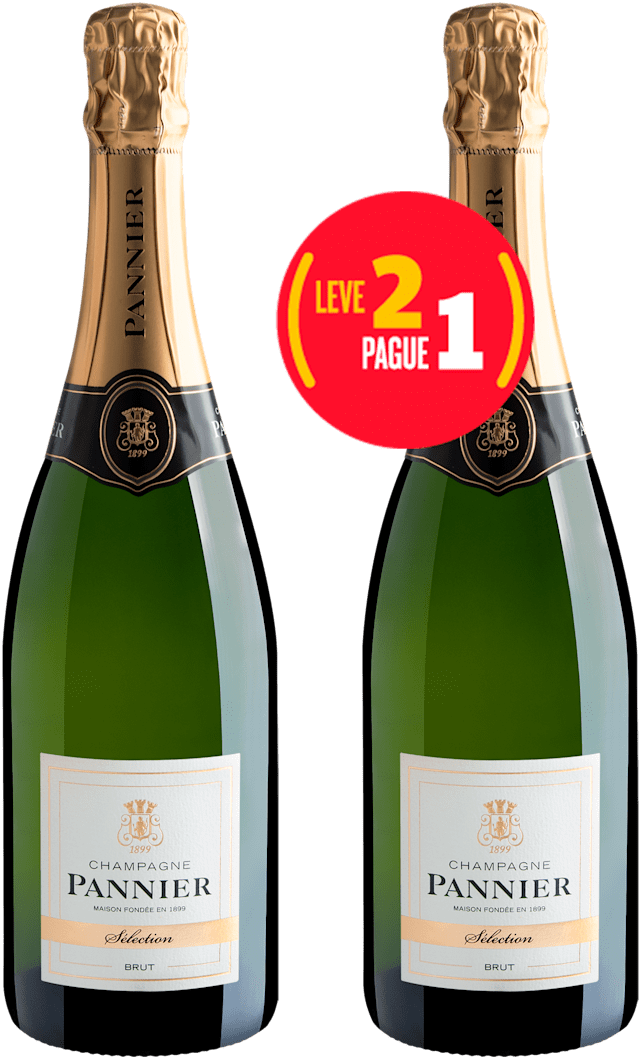 Kit Leve 2 Pague 1 Champagne Pannier Sélection Brut