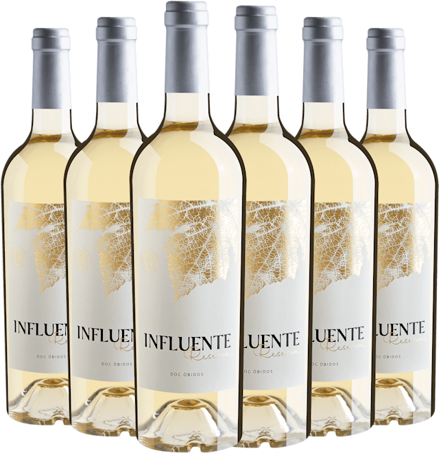 Kit 6 Influente Reserva Branco Óbidos