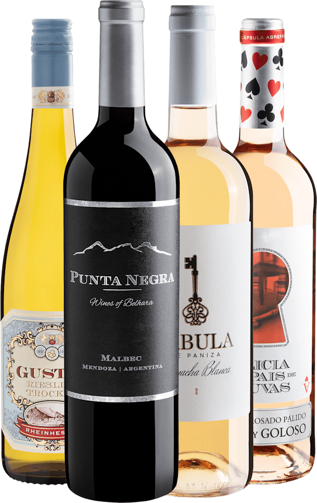 Kit 4 Vinhos Volta ao Mundo por R$54,90 cada garrafa 