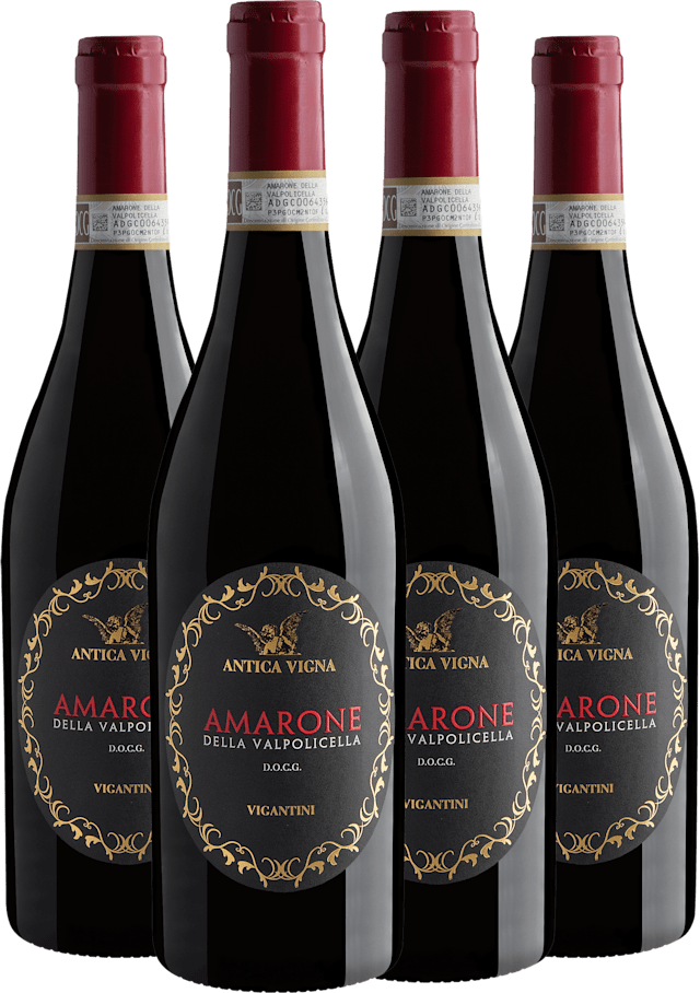 Kit 4 Antica Vigna Amarone della Valpolicella DOCG