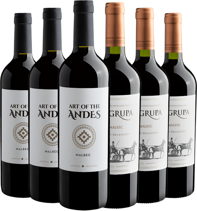 Kit Malbecs | 3 Art Of The Andes + 3 La Grupa
