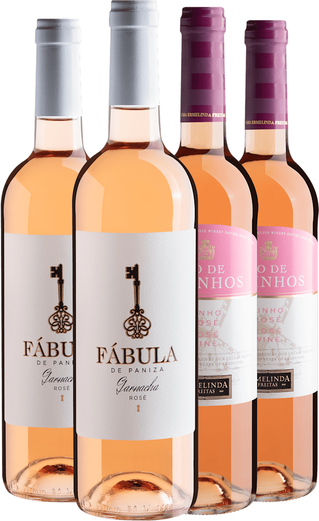 Kit 2 Vinhos Rosés em Dobro + Frete Grátis