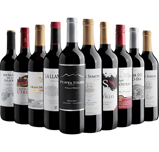 Kit 10 Vinhos Tintos com Punta Negra