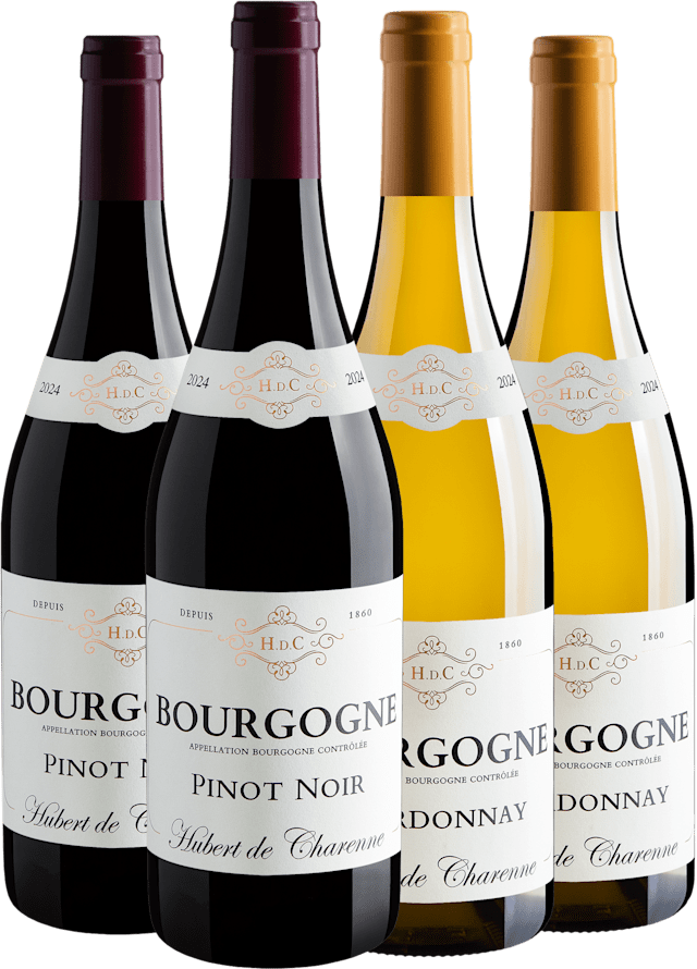 Kit Borgonha em Dobro | 2 Pinot Noirs + 2 Chardonnays