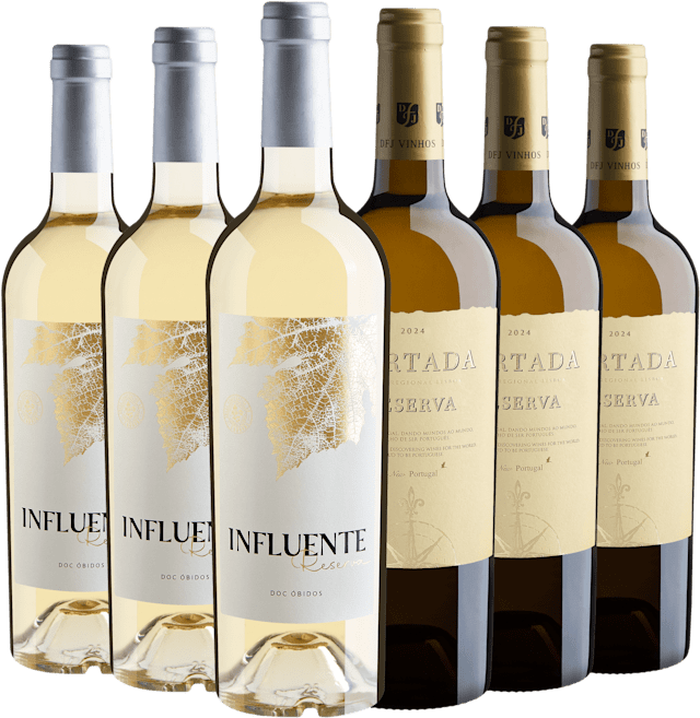Kit Vinhos Brancos Reserva | 3 Influente + Portada 