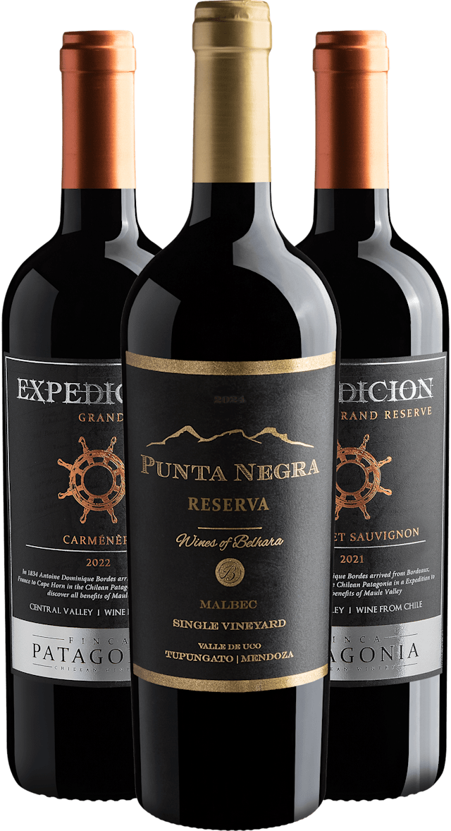Kit 3 Vinhos Premium do Novo Mundo