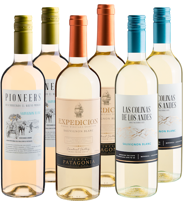 Kit Sauvignon Blanc em Dobro | 6 garrafas