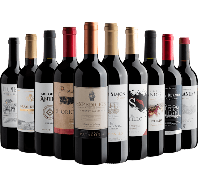Kit 10 Vinhos Tintos