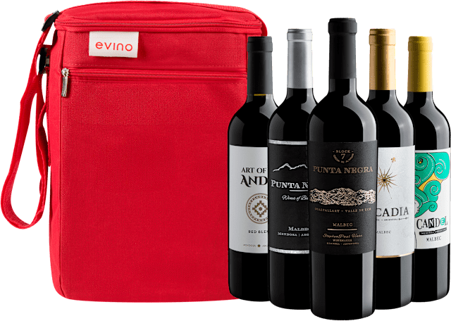 Kit 5 Tintos Argentinos + Bolsa Exclusiva