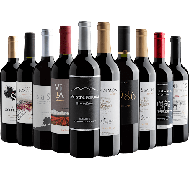 Kit 10 Vinhos Tintos com Punta Negra