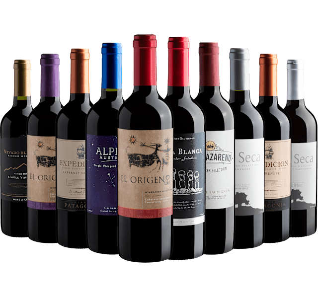 Kit 10 Vinhos Chilenos para o Inverno