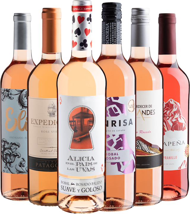 Kit 6 Vinhos Rosés com Alicia en el Pais de Las Uvas