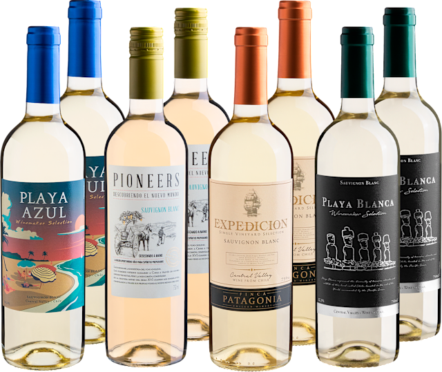 Kit Sauvignons Blancs em Dobro | 8 garrafas