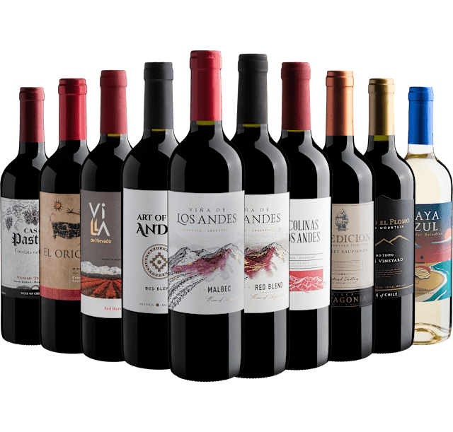 Kit 10 Vinhos do Novo Mundo