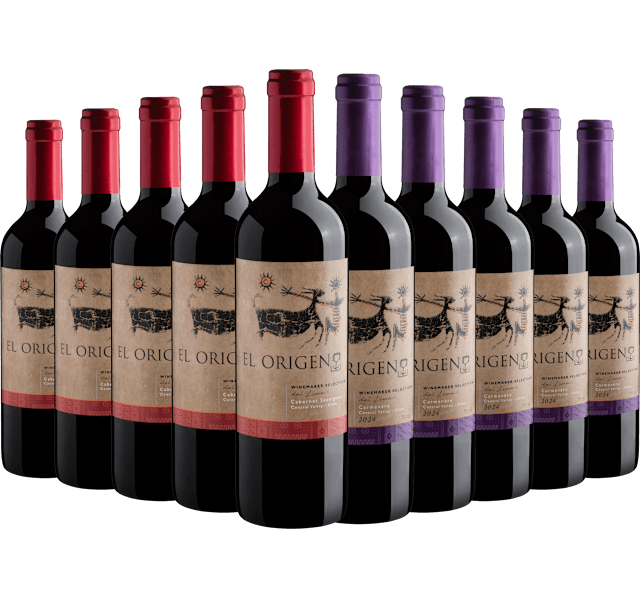 Kit El Origen Winemaker | 5 Cabernet Sauvignon + 5 Carménère*