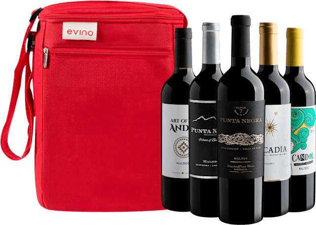 Kit 5 Malbecs Argentinos + Bolsa Exclusiva