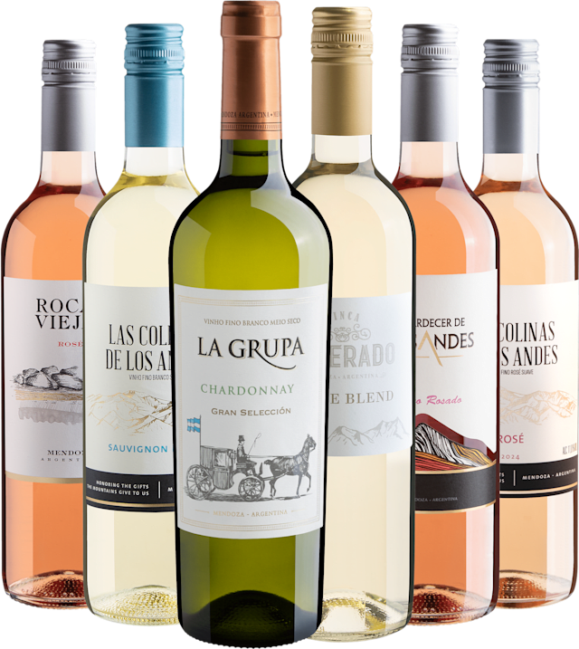 Kit 6 Vinhos Argentinos Leves