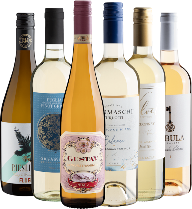 Kit 6 Vinhos Brancos