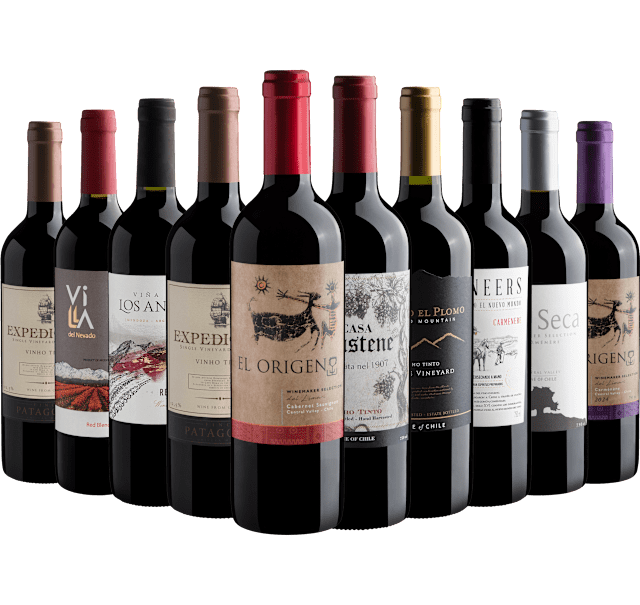 Kit 10 Vinhos do Novo Mundo*