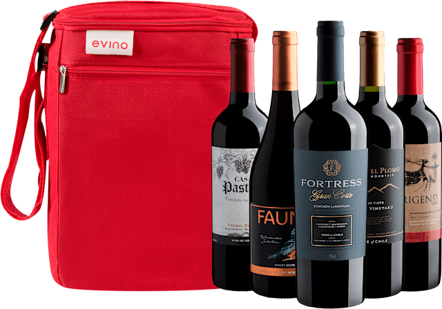 Kit 5 Vinhos Chilenos + Bolsa Exclusiva