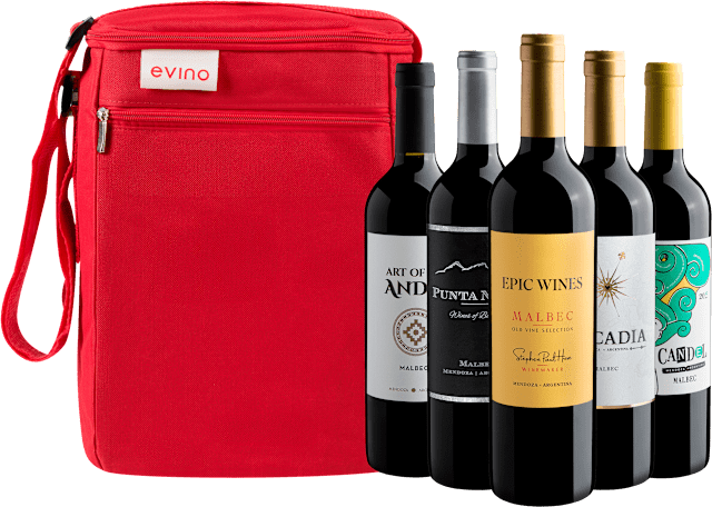 Kit 5 Malbecs Argentinos + Bolsa Exclusiva