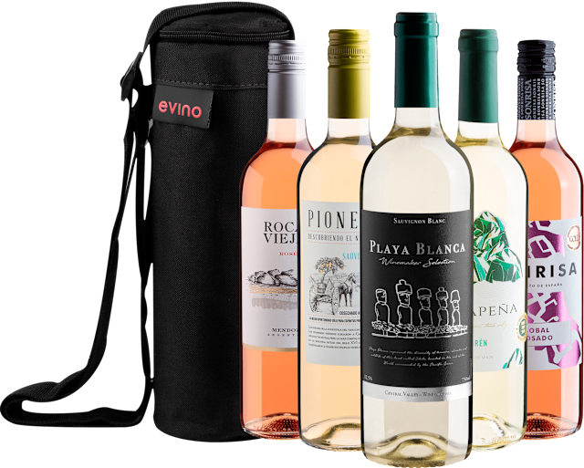 Kit 5 Vinhos Leves + Bolsa Exclusiva
