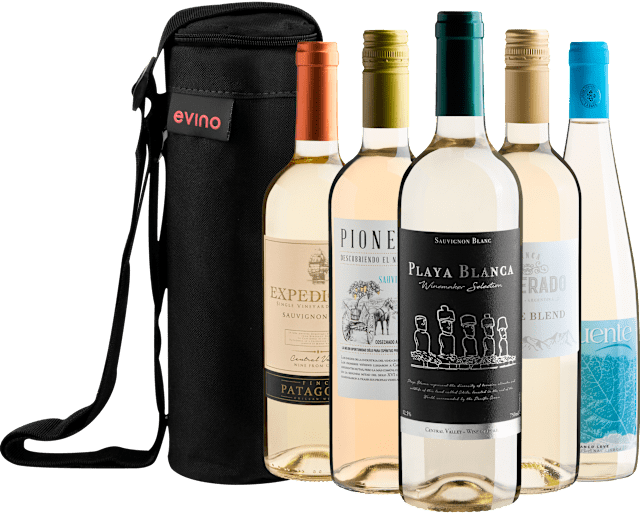 Kit 5 Vinhos Brancos com Bolsa Exclusiva