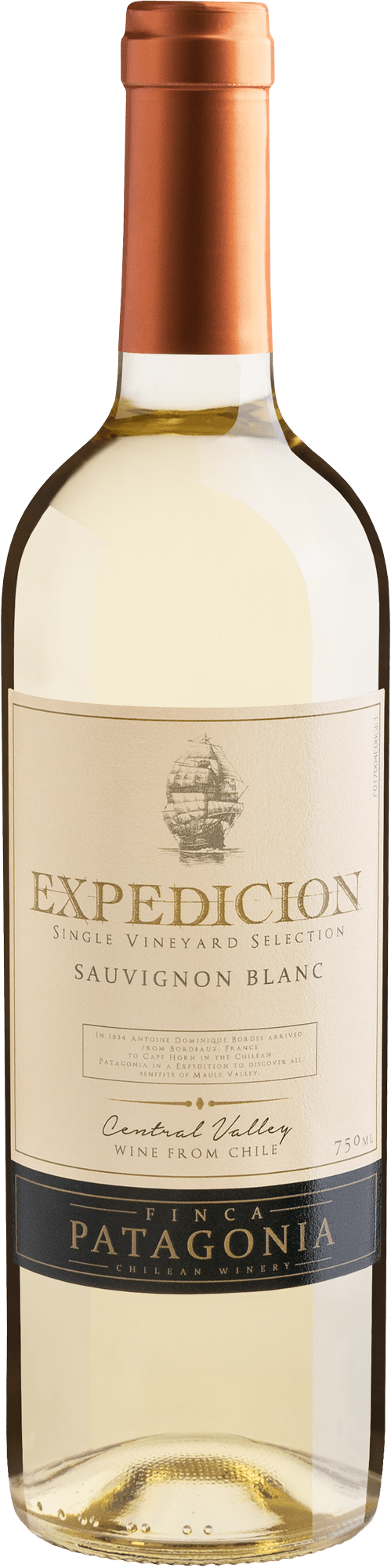 Finca Patagonia Expedicion Single Vineyard Selection Sauvignon Blanc Central Valley D.O. 2022