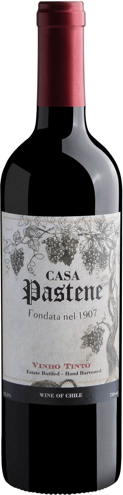 Casa Pastene Vinho Tinto