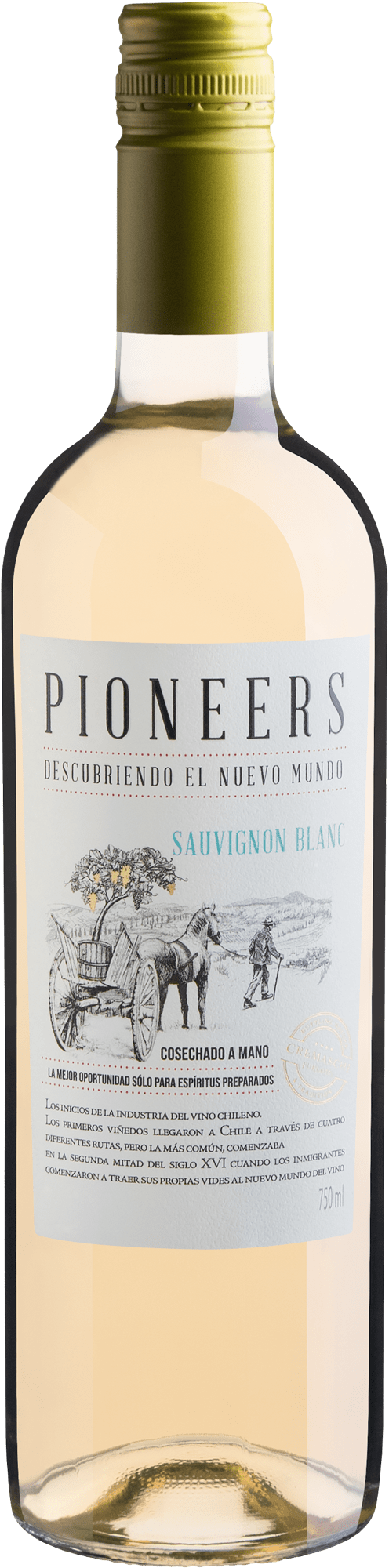Pioneers Sauvignon Blanc