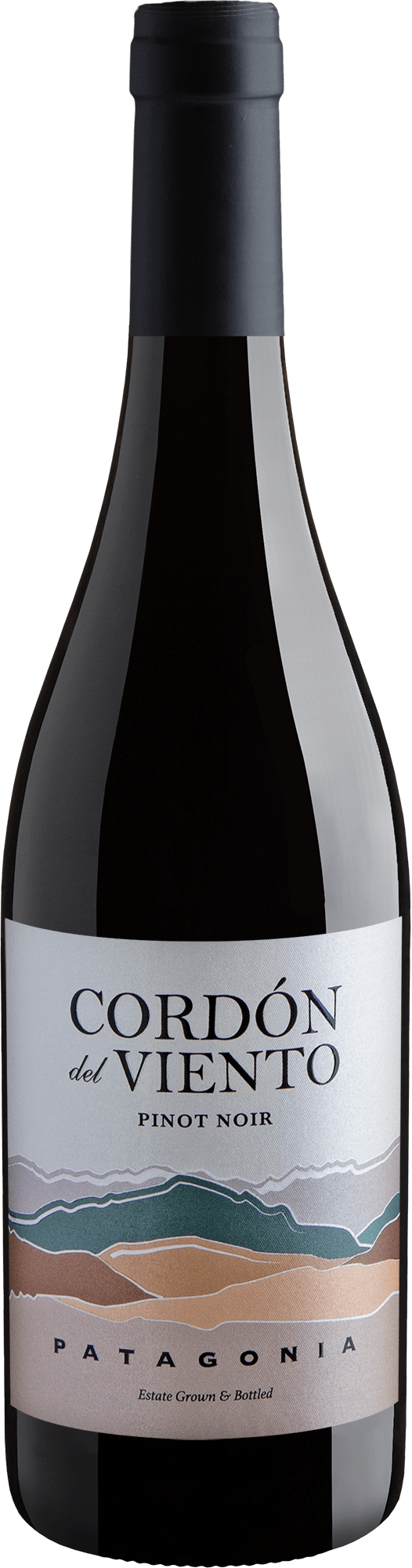 Cordón del Viento Pinot Noir Patagonia 2025