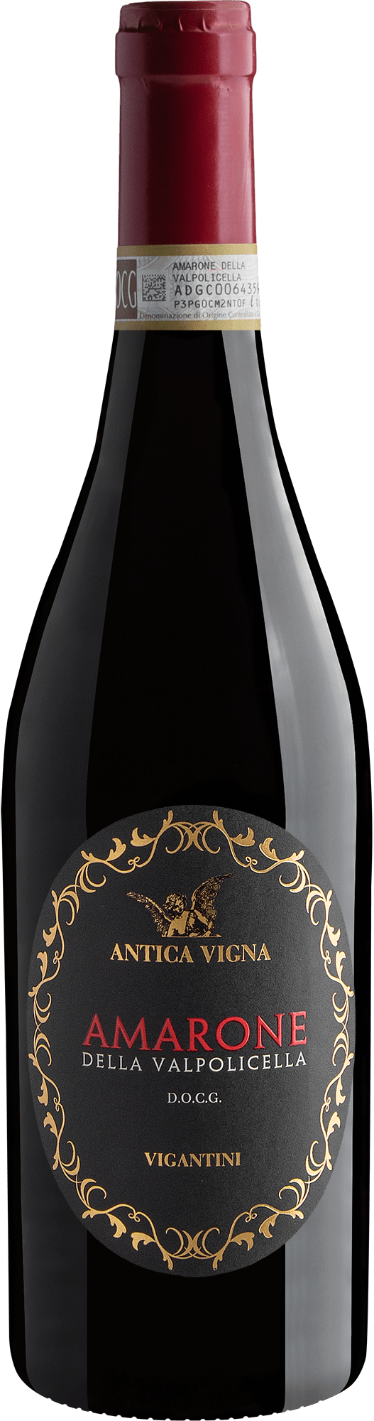 Antica Vigna Amarone della Valpolicella DOCG 2022
