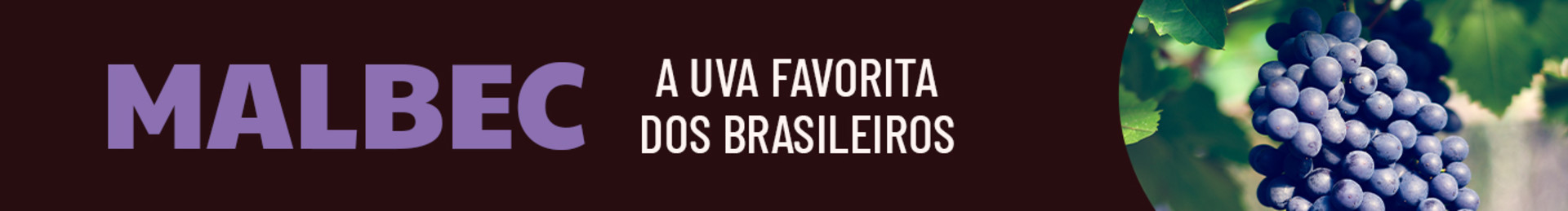 Uma seleção exclusiva de vinhos Malbec para você conhecer!