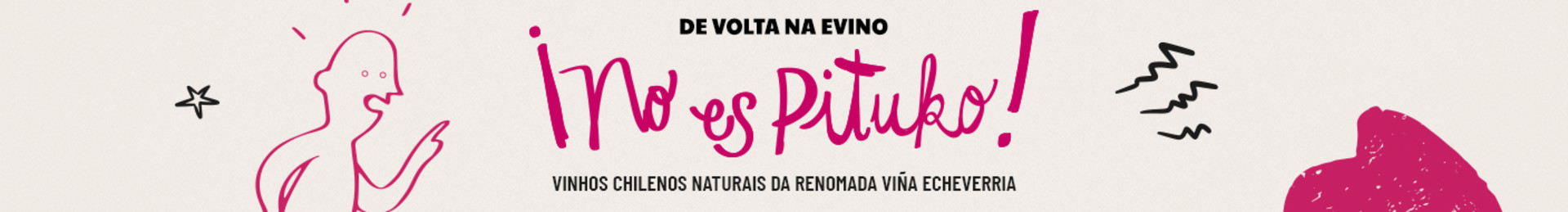 Vinhos chilenos naturais da renomada Viña Echeverria